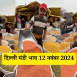 Aaj Ka Delhi Mandi Bhav 12 November 2024