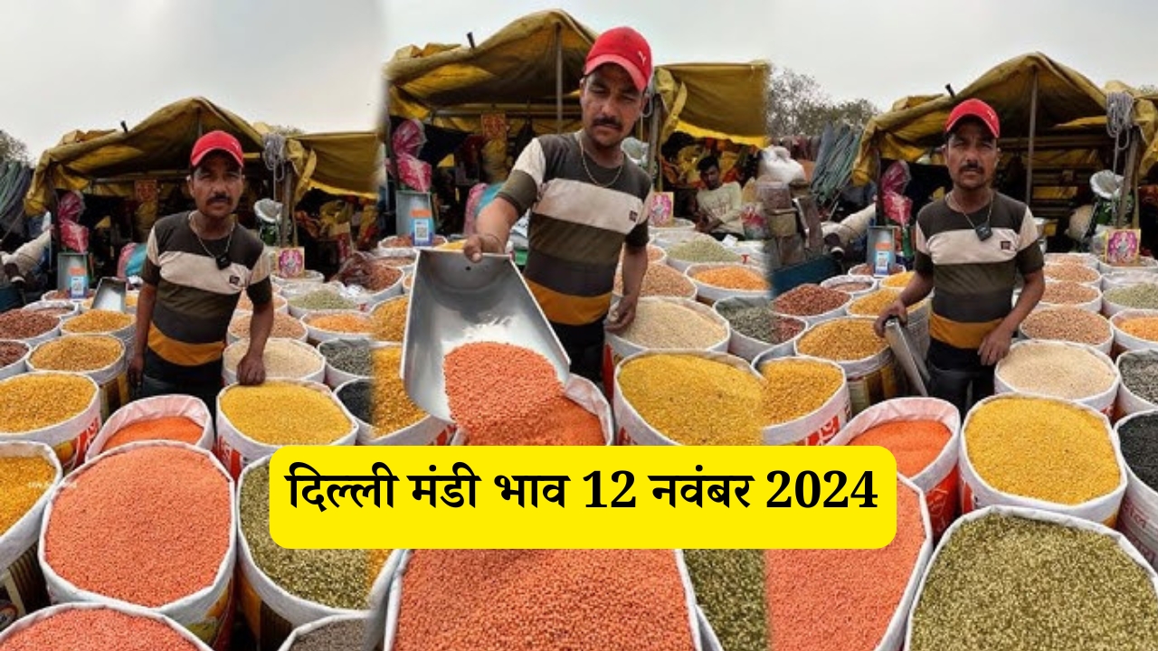 Aaj Ka Delhi Mandi Bhav 12 November 2024